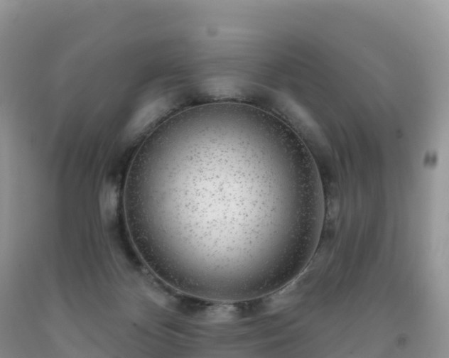 X0000092080124200709191233