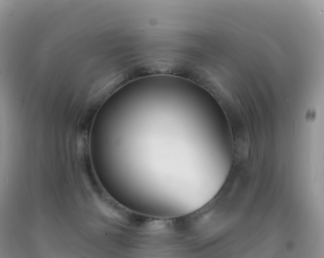 X0000092080126200709191233