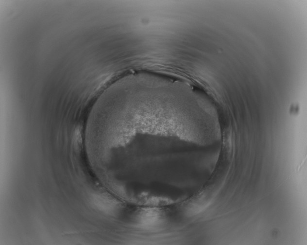 X0000092080127200709191233
