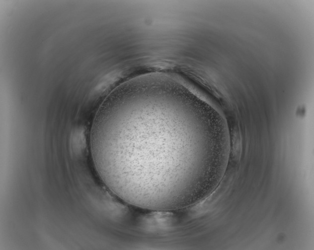 X0000092080128200709191233