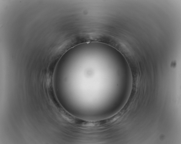 X0000092080129200709191232