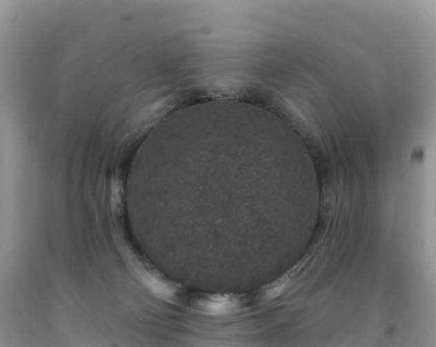 X0000092080130200709191232