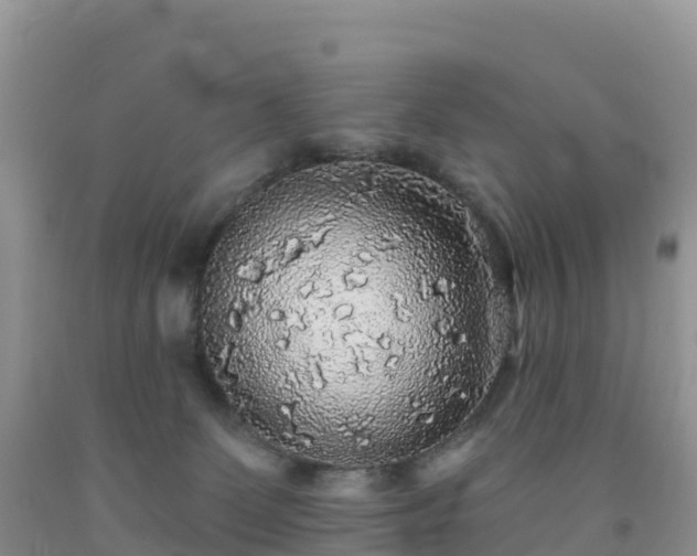 X0000092080131200709191232