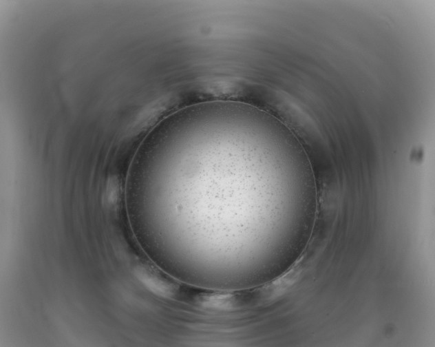 X0000092080132200709191232