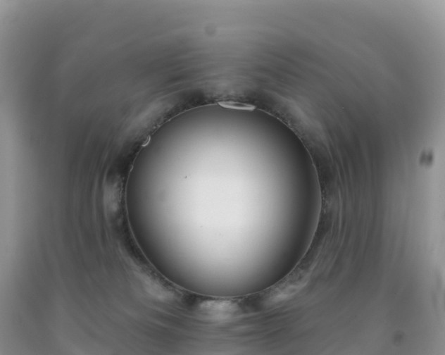X0000092080133200709191232