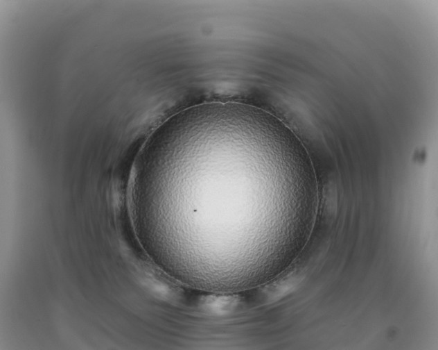 X0000092080135200709191232