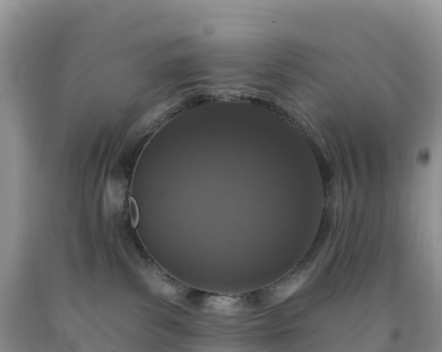X0000092080139200709191232