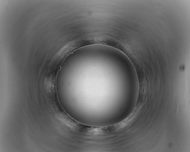 X0000092080140200709191232