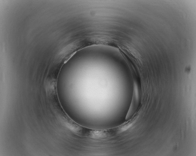 X0000092080141200709191232