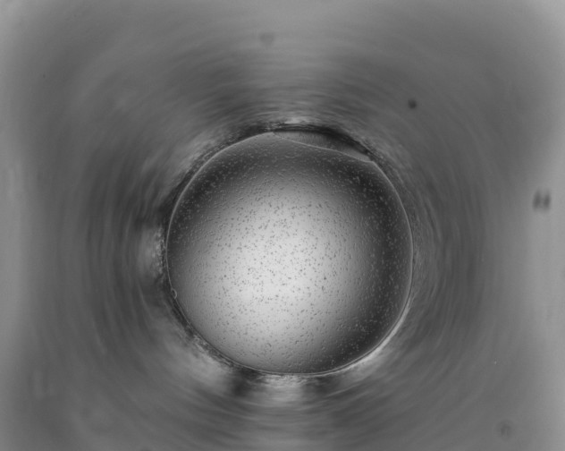 X0000092080144200709191232