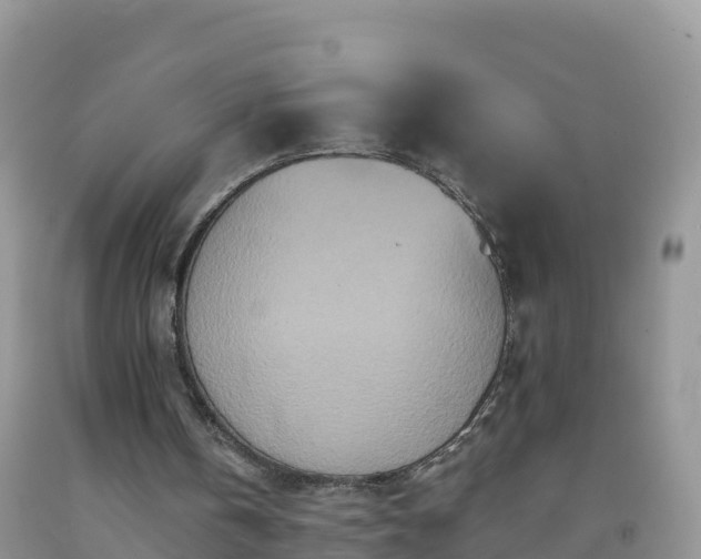 X0000092080146200709191232