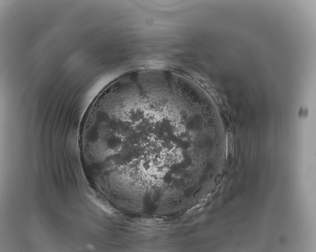 X0000092080147200709191232