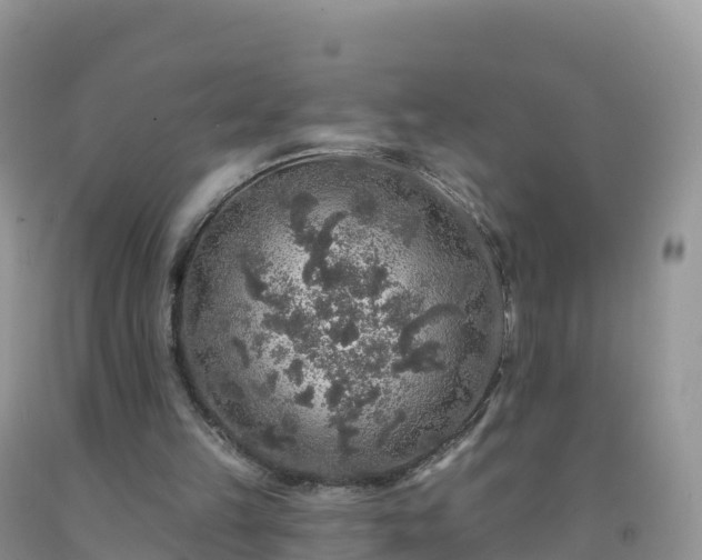 X0000092080149200709191232