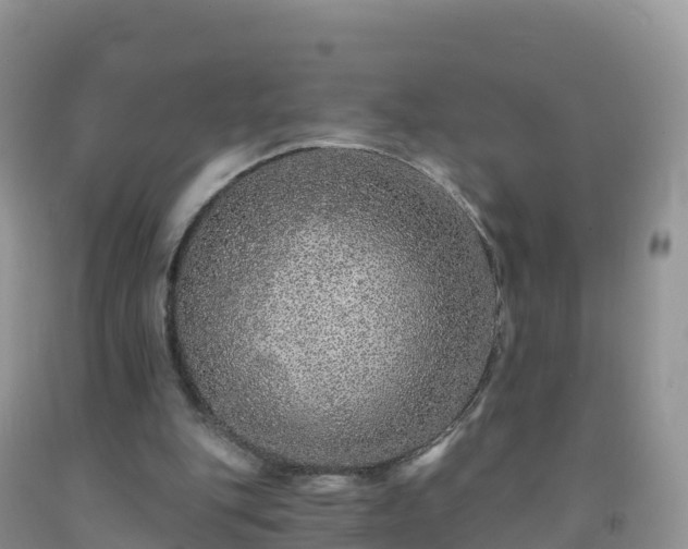 X0000092080151200709191232