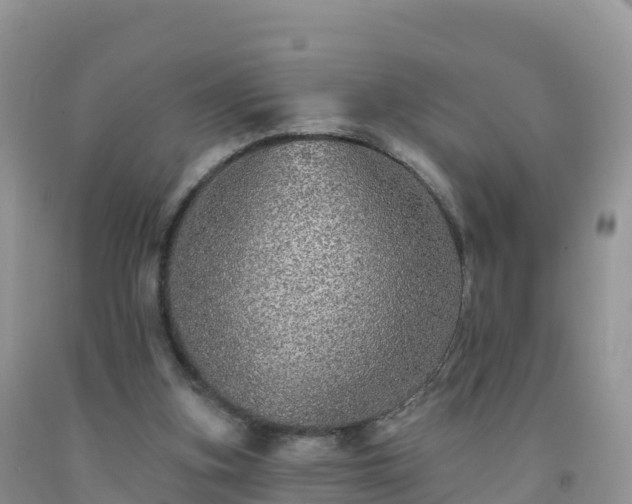 X0000092080155200709191232