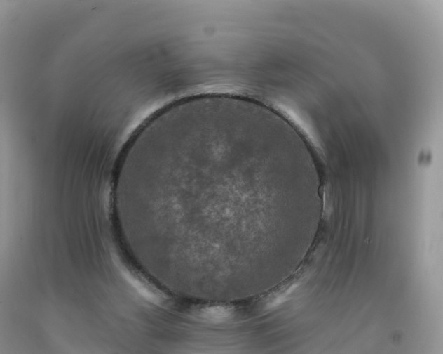X0000092080156200709191232