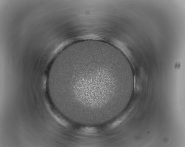 X0000092080157200709191232