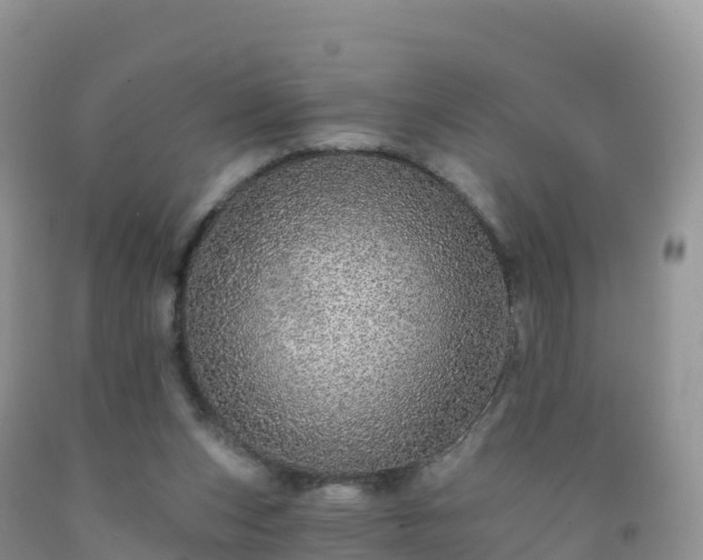 X0000092080159200709191232