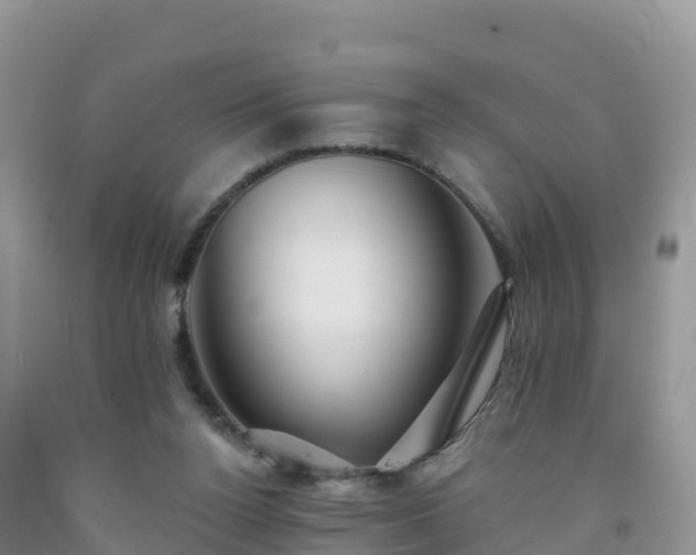 X0000092080160200709191232
