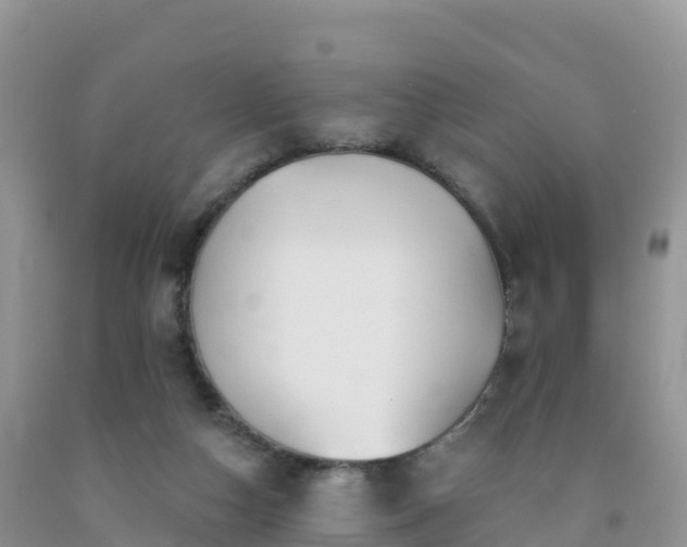 X0000092080162200709191232