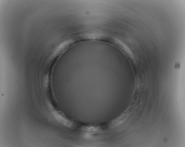X0000092080163200709191232