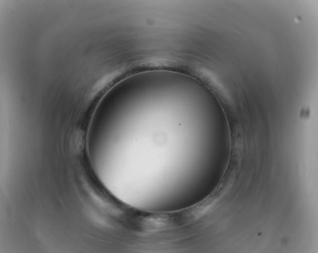 X0000092080164200709191232