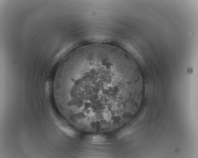 X0000092080165200709191232