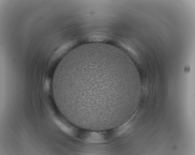 X0000092080166200709191232