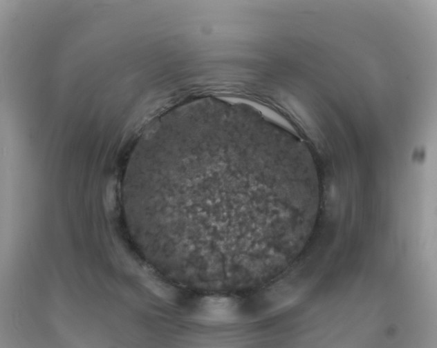 X0000092080169200709191232