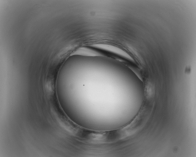 X0000092080170200709191232