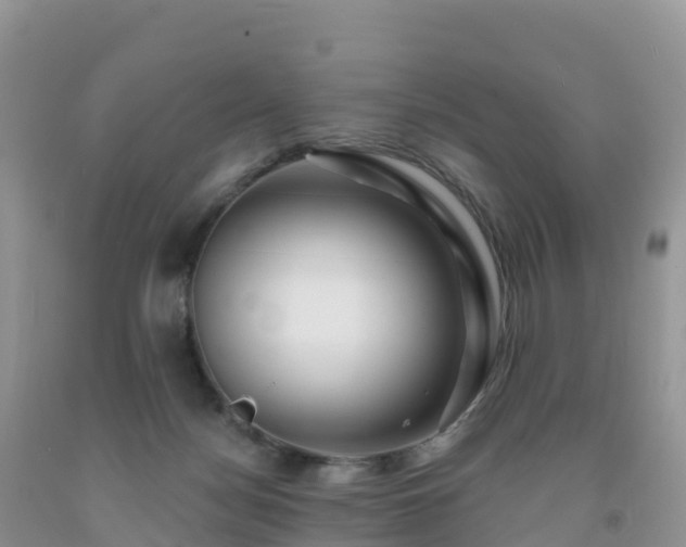 X0000092080172200709191232