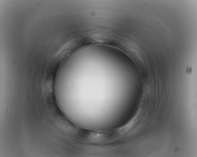X0000092080174200709191232