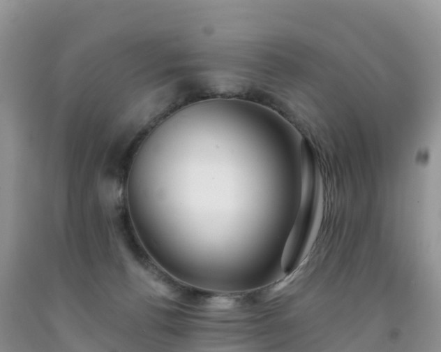 X0000092080176200709191232