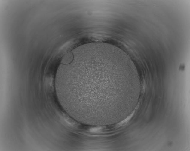 X0000092080178200709191232