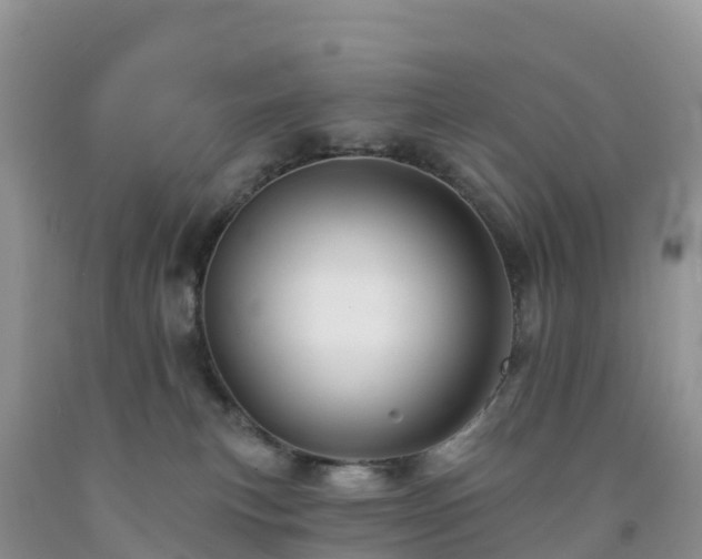 X0000092080183200709191232