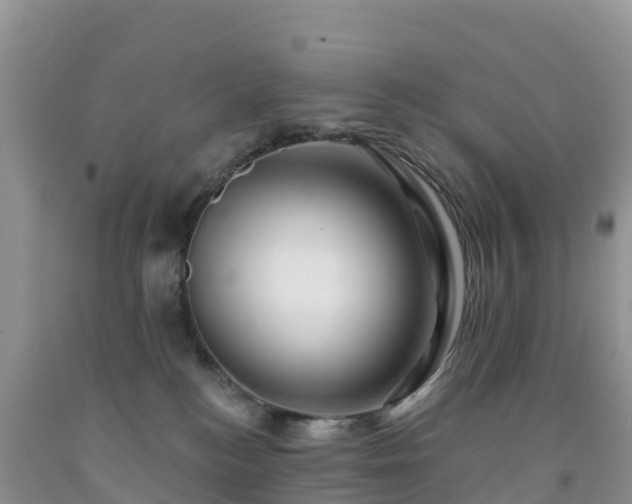 X0000092080184200709191232