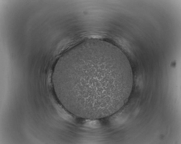 X0000092080185200709191232