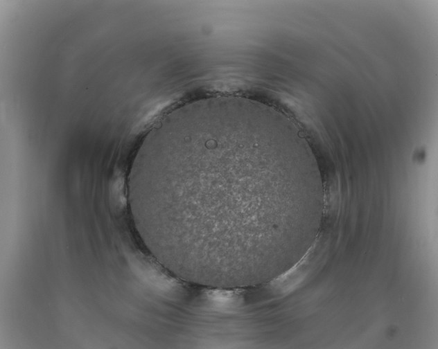 X0000092080187200709191232
