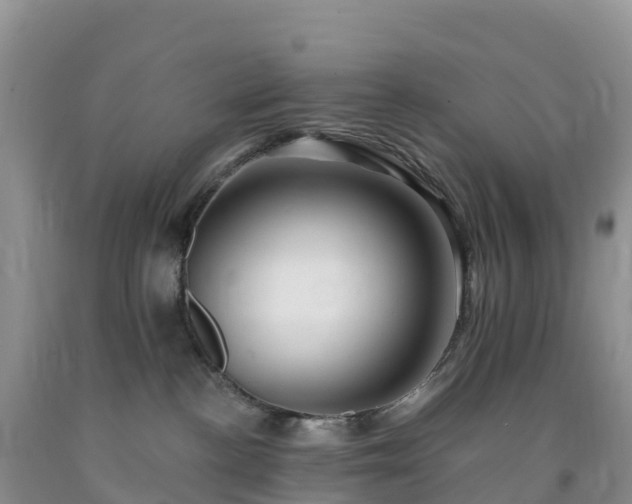 X0000092080188200709191232