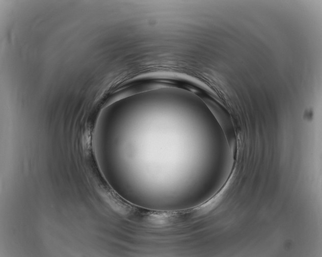 X0000092080190200709191232