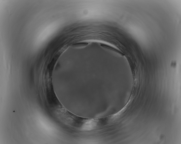 X0000092080191200709191232