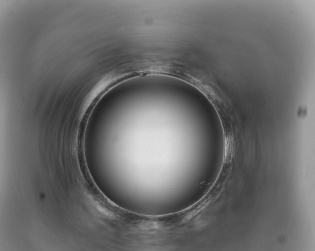 X0000092080195200709191232