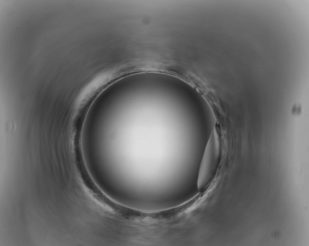 X0000092080197200709191232