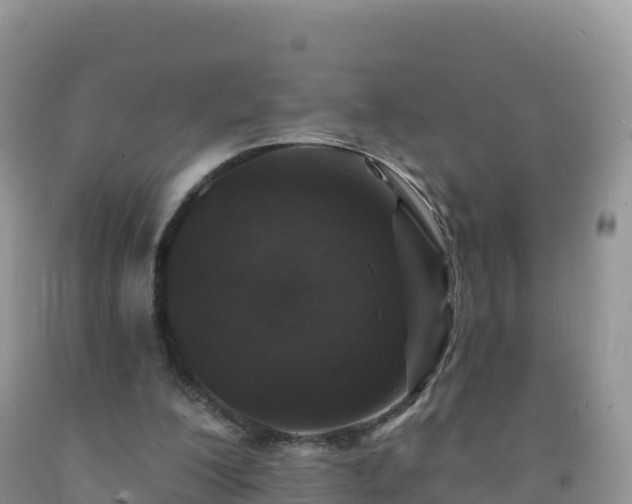 X0000092080200200709191232