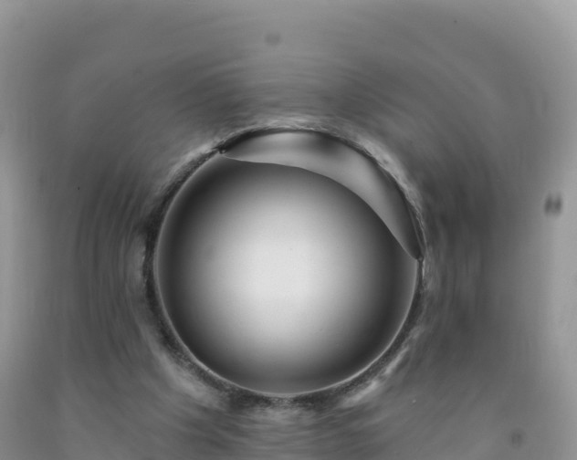 X0000092080201200709191232