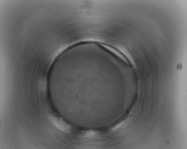 X0000092080204200709191232
