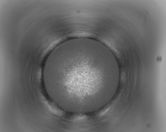X0000092080206200709191232
