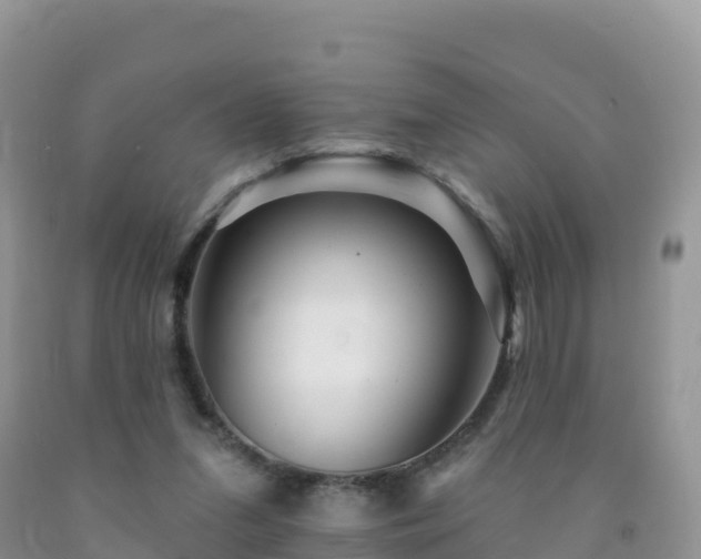 X0000092080207200709191232