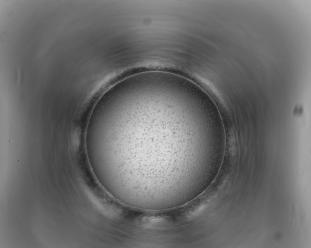 X0000092080208200709191232