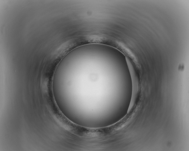 X0000092080209200709191231